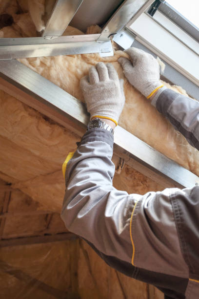 Best Eco-Friendly Insulation in Biscayne Park, FL